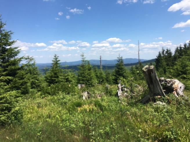 Co se stalo pod Smrčinou a Třístoličníkem? Cesta do dob, kdy Šumava nebyla svobodná